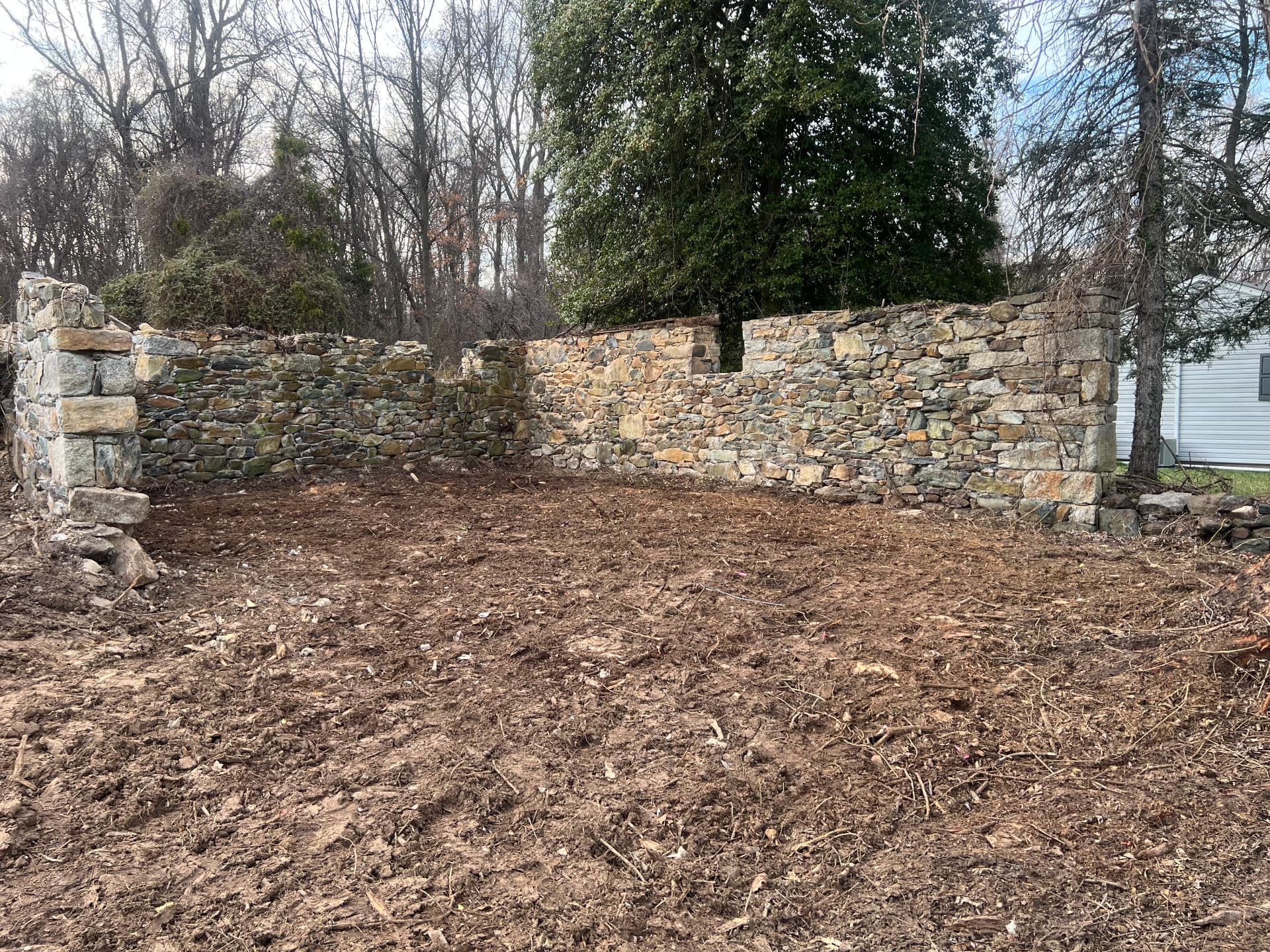 Historic dry-stacked stone walls uncovered and cleared