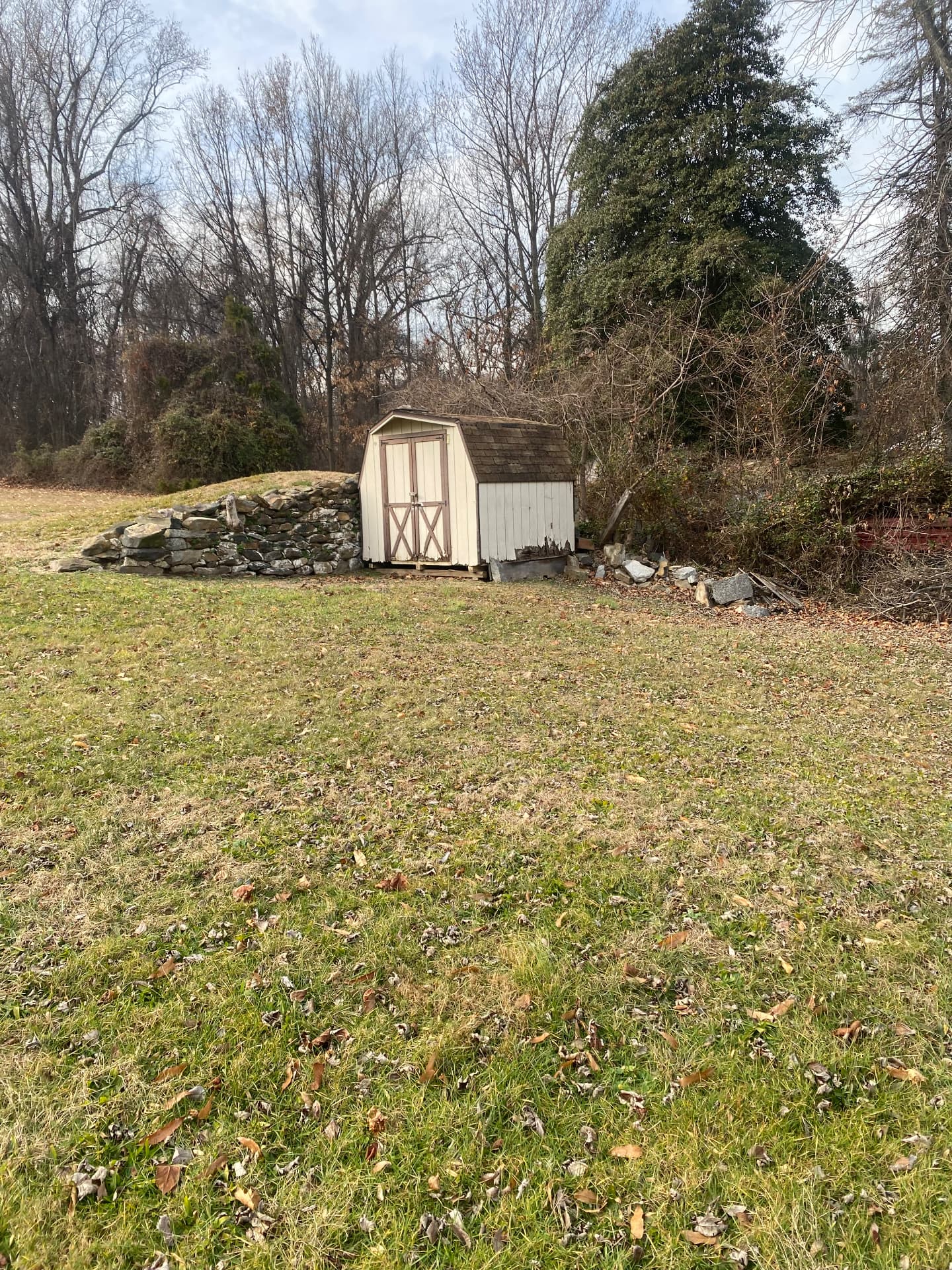Backyard shed and old stone wall before the grounds were cleared